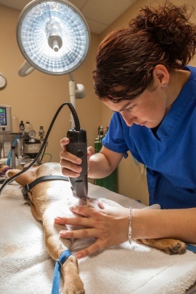 vet tech surgical specialty