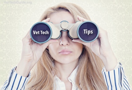 vet tech tips