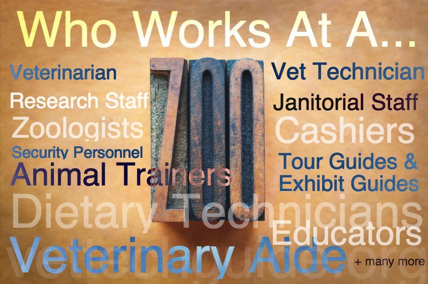 who works at a zoo