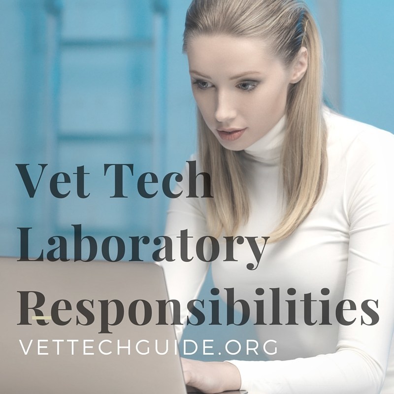  Vet Tech Laboratory Responsibilities