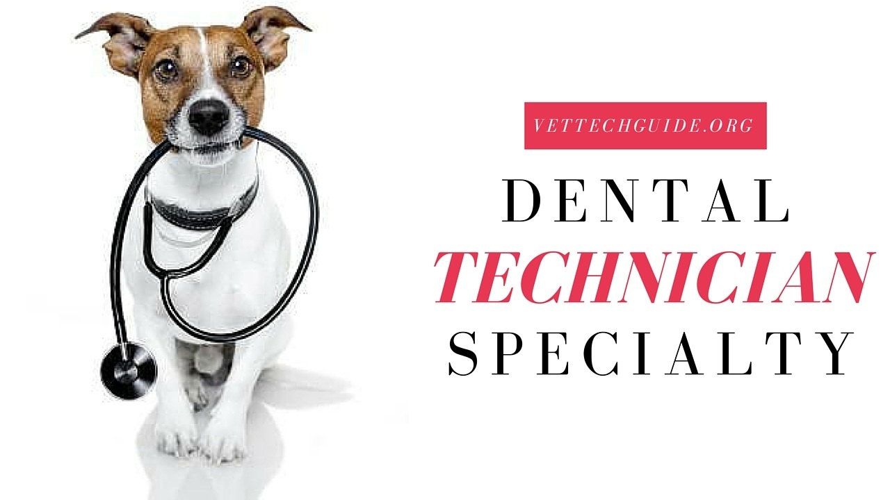 dental technician specialty