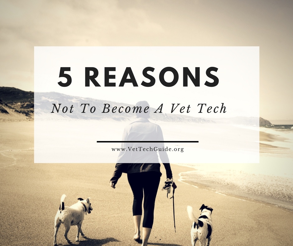 reasons not to be a vet tech