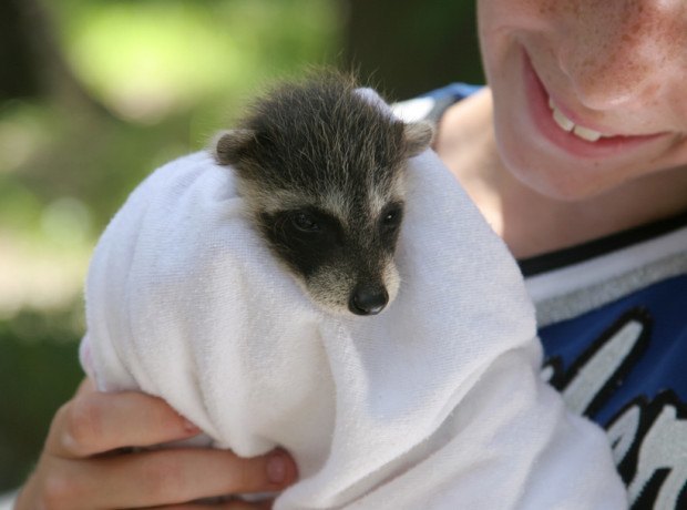 vet tech volunteer